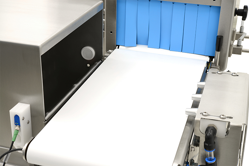 Conveyor Belt XRay Inspection Machines CASSEL Inspection